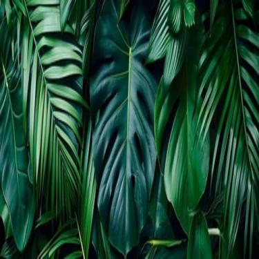 Imagem de Quadro Decorativo Folhagem Tropical Vibrante - Arte de Parede para Sala e Escritório 40x40cm