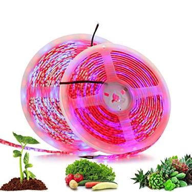 Imagem de Tingpai 5 M LED Phyto Lamps Spectrum Full LED Strip Light 300 LEDs 5050 Chip LED Grow Lights For Greendrop Hydroponic Plant 5: 1 IP65 Waterproof