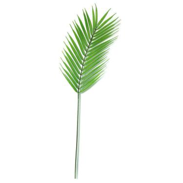Imagem de Planta Permanente Palmeira - Mart