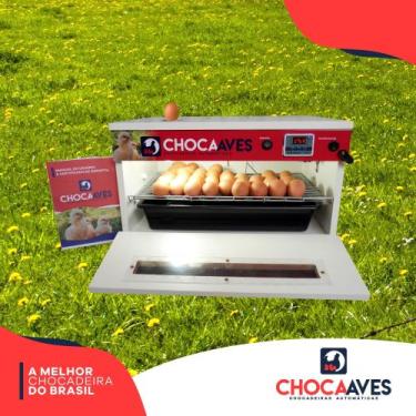 Imagem de Chocadeira 60 ovos com ovoscópio automática e Digital - Chocaaves, 110