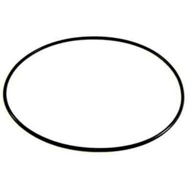 Imagem de Anel Vedação Biz 100 Shineray Traxx 50 Mesa Magneto - Serjão Parts, Un