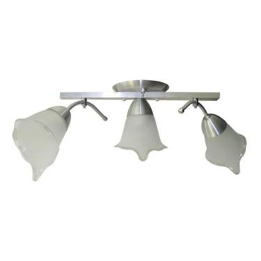 Imagem de Lustre De Braço Para Sala e Quarto - 03 Tulipas De Vidro Modelo Flor -