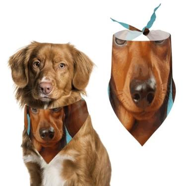 Imagem de Cachecol triângulo de poliéster estampado para cães Dachshund – Tamanho único (70 x 30 cm)