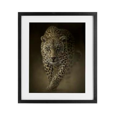 Imagem de Stupell Industries Impressão emoldurada preta Savage Leopard Predator sob o vidro por Collin Bogle, 53 x 43 cm