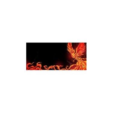 Imagem de Mousepad Gamer Fallen Fenix, Estendido, Speed++, 900x400mm - MP03702