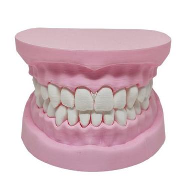Imagem de Arcada Dentária Modelo 3D Dente Gengiva Boca Anatomia - Pupa 3D