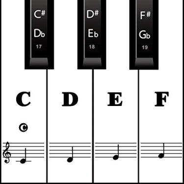 Imagem de Adesivos de teclado de piano para teclas 88/61/54/49, preto, transparente, removível para crianças iniciantes (preto)