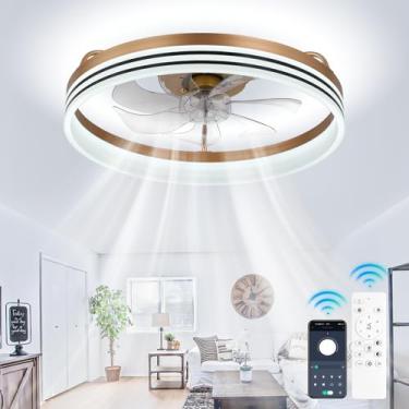 Imagem de Cainjiazh Ventiladores De Teto Com Luzes E Controle Remoto 20" Fandelier Led Ventilador De Luz Moderno Ventilador De Teto, Luzes De Ventilador De Teto De Montagem Embutida De Perfil Baixo Para Quart