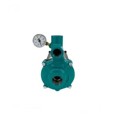 Imagem de Motobomba Injetora 3-4cv 60Hz 110- I-109 Eci-75 Eletroplas 220V