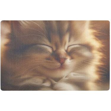 Imagem de TSENQUE Capacho personalizado fofo gatinho dormindo capacho engraçado hilário tapete de porta de outono tapete lavável entrada interna, 81 cm x 50 cm