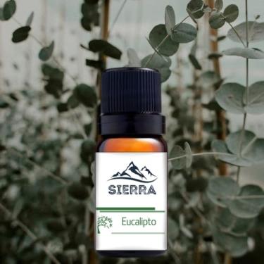 Imagem de Essência para Difusor Elétrico Aromatizador e Umidificador de Ar Hidrossolúvel Aromaterapia Óleo Essencial 10ml (Eucalipto)