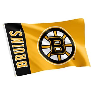 Imagem de Desert Cactus Bandeira do time Boston Bruins NHL National Hockey League 100% poliéster interno e externo 3 pés x 5 pés (Bandeira do nome)