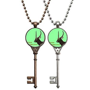 Imagem de OFFbb-USA Colar Herbívoro Chave África Chaveiro Pingente Joias Decoração Casal