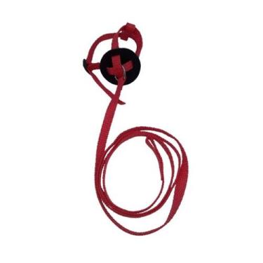 Imagem de Coleira Peitoral com Guia Passeio para Aves Calopsita Porte Semelhante