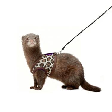 Imagem de Conjunto de arnês e coleira para furões, colete ajustável para furões, lindo peitoral de animais pequenos para porquinho-da-índia, esquilo, rato, acessórios de caminhada segura para uso ao ar livre