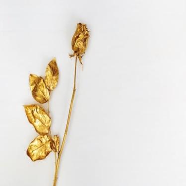 Imagem de Quadro Decorativo Golden Flower Rose Estampa Floral Dourada para Sala e Quarto 40x40cm