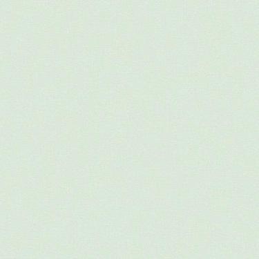 Imagem de Papel De Parede Revoada Liso Menta 4435