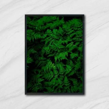 Imagem de Quadro Fotografia Samambaias 45X34Cm Com Vidro Moldura Preta