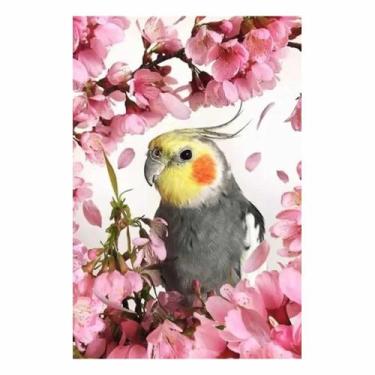 Imagem de Artesanato Pintura Diamante Diy 30X40 - CALOPSITA - PPSHOP