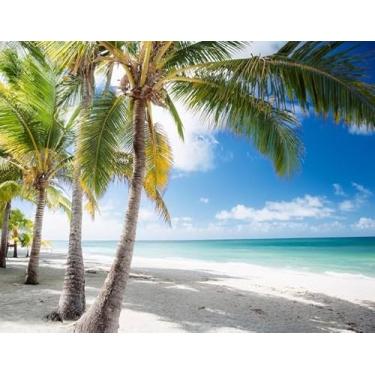 Imagem de Quadro Decorativo com Estampa Photo Palm Treestanding Firmly Beach 50 x 50 Papel 3 unidades