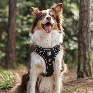 Imagem de Peitoral para cães – Enchimento refletivo ajustável com design fácil de colocar e fixação na coleira (G, preto)