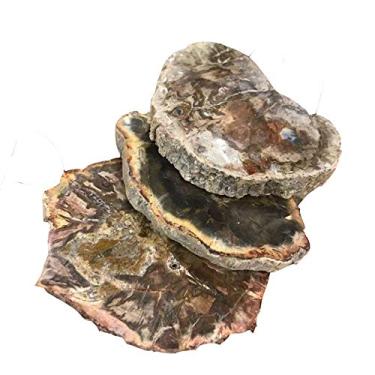 Imagem de 1 peça de madeira silcificada natural cru quartzo s pedra de grão de cristal áspero artesanato para presente decorativo