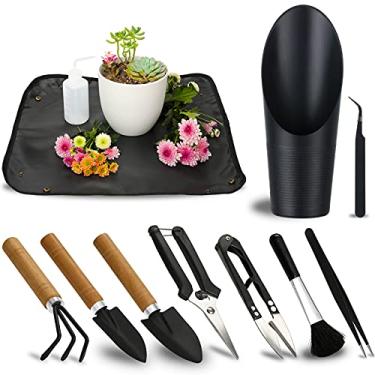 Imagem de 11 peças de ferramentas suculentas, mini ferramentas de jardim, garrafa de irrigação suculenta como acessórios de plantas, kit de ferramentas de jardinagem para sementes de solo, cuidados suculentas, planta de casa, presentes para mulheres (sem vaso de flores)