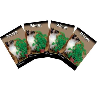 Imagem de 4X Sementes de Erva dos Gatos FELTRIN