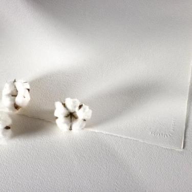 Imagem de Papel Arches 185 g/m² TF 56 x 76 cm