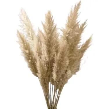 Imagem de Kit 5 Haste Pluma Natural Para Decoração Capim Dos Pampas - FLORA FULL