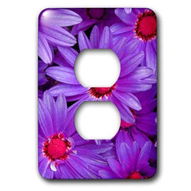 Imagem de 3dRose lsp_36777_6 Capa de tomada roxa Gerbera Daisies com 2 plugues