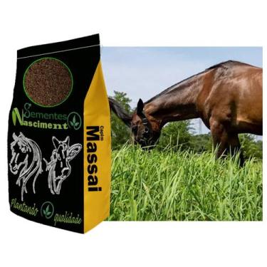 Imagem de 20kg Sementes Capim massai para formar excelente pastagem resistente -