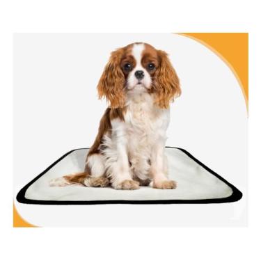 Imagem de Tapete Para Pets Lavável Canino Em Oferta 1 Un P 50X60Cm - Shelby Moda