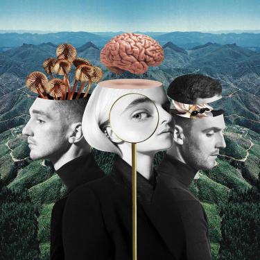 Imagem de Clean Bandit - What Is Love?
