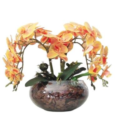Imagem de Arranjo de Mesa 4 Flores Orquídeas Coral Real Vaso Terrário - La Caza 
