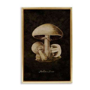 Imagem de Stupell Industries Arte de parede em tela flutuante de estudo de cogumelo Portobello por Tina Higgins Designs, Inc., moldura flutuante dourada, 53 x 78 cm