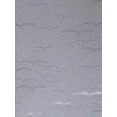 Imagem de Chapa De Acrílico Para Box E Gabinetes 90X98 Revoada Incolor - Efatá