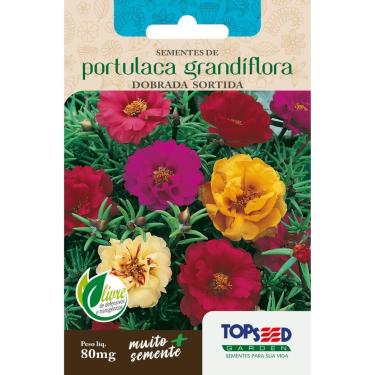 Imagem de Sementes de Portulaca Onze Horas Grandiflora Dobrada Sortida 80mg Flores Jardins Vasos (1)