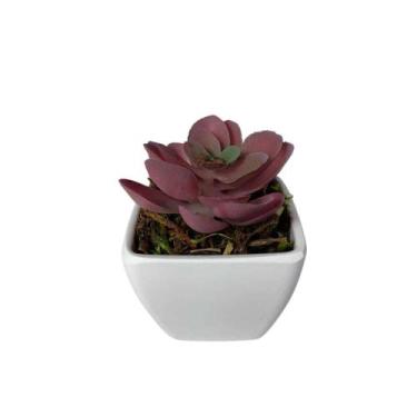 Imagem de Mini Suculenta Artificial Vaso de Plástico Branco - Multshop, Roxa 01