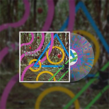 Imagem de and everybody else smiled back [Disco de Vinil]