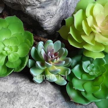Imagem de Kit 04 SUCULENTAS ARTIFICIAIS PLANTA AVULSA PARA ARRANJO ENFEITE JARDIM VERTICAL (VD)