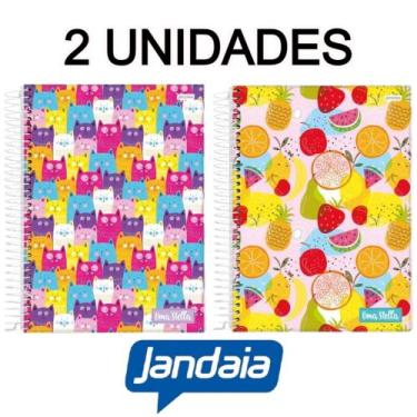 Imagem de Kit 2 Cadernos Espiral 240 Folhas Universitário 15M Dura Stella Materi