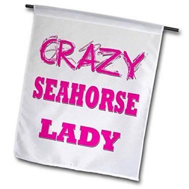 Imagem de 3dRose fl_175279_2" Bandeira de jardim Crazy Seahorse Lady (18 x 27 cm)