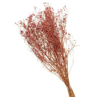 Imagem de Buque de Flores Secas Gypsofila Roxo - Pense Flores, Rosa