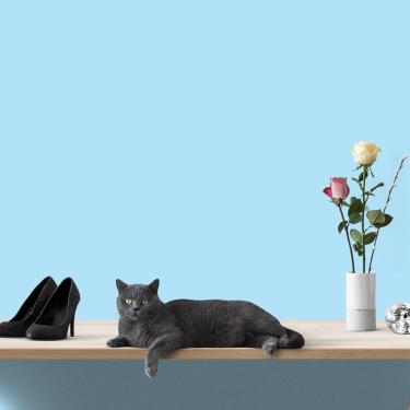 Imagem de Papel de Parede Adesivo Liso Azul Allure Rolo 0,58x3M