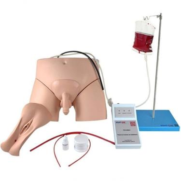 Imagem de Simulador de Cateterismo Vesical Bissexual Anatomic