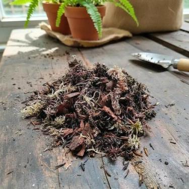 Imagem de Substrato Especial para Antúrio, Samambaia e Platycerium - 6 Litros - 