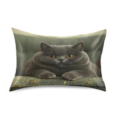Imagem de Fronhas de cetim engraçadas refrescantes coloridas King Queen padrão fronhas fronhas de cama macias capa queen size 76.2 cm x 50.8 cm Fat British Shorthair Cat