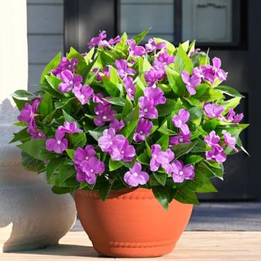 Imagem de Waipfaru 5 peças de flores artificiais para ambientes externos, flores artificiais resistentes a UV para plantadores ao ar livre, buquê de impatiens de seda, plantas artificiais roxas para jardim