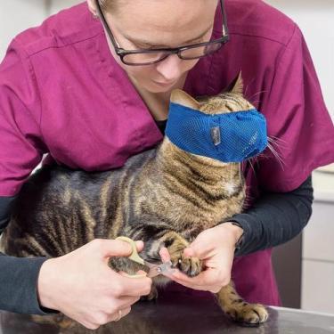 Imagem de Máscara Respirável E Ajustável Para Gatos, Confortável Para Cuidados E